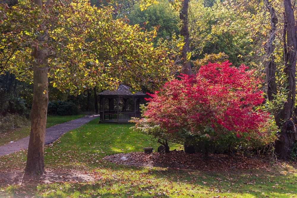Landscaped grounds and gazebo in autumn outside the center